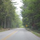 BUBBLE PARK 이미지