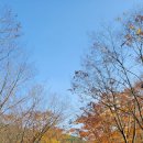 고령 대가야 수목원 가을풍경 이미지