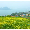 하화도 꽃섬길 이미지