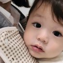 옴니세탁 이미지