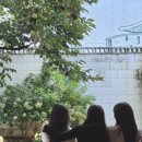 수원시 팔달구 창룡대로74번길 이미지