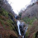 음성궁도장 | 울릉도 봉래폭포 못 가보고 헛걸음 한 이야기