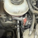 로고스카센타 이미지