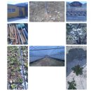 영구네농장 이미지