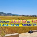 대박황칠코리아 고깃집 이미지