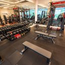 골든짐(GOLDEN GYM) 네이버블로그