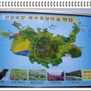 금일도·생일도 Daum카페