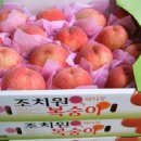 홍백농장 이미지