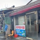 왕거미식당 이미지