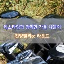 진양우드 이미지