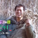 오색인견 이미지