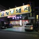 금빛돼지