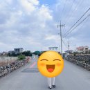 제주 애월 10개월 아기랑 숙소 델마와루이스 펜션 후기
