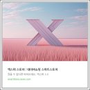 더솔리드 | 릴 솔리드 3.0 사용 후기 및 정착 제품 공유