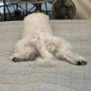 펫츠런파크 이미지