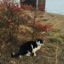 법률사무소형산 - 5751 | 법률사무소형산