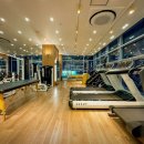 리바디핏 이미지