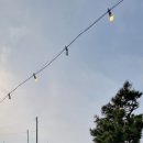 스테이제주작은별 이미지