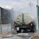 장수양돈 이미지