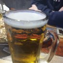 홍스비어 이미지