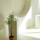 찬스튜디오 이미지