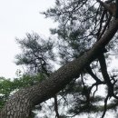 내원사계곡(내원사) 이미지