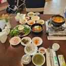 [The-K 반려견 힐링캠프] 실전 훈련 데이! 반려견과 유쾌한 도전 Day 2