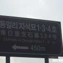 동일리 지석묘 1호 이미지