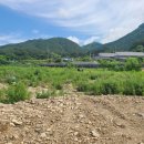 금산농장 이미지