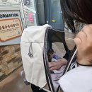 매지밀 딸기농장 이미지