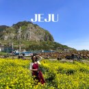 안덕면 용머리 공영주차장 입구 | 4월 제주도 여행 가볼만한곳 산방산 유채꽃 명소 제주 용머리해안 코스