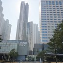 소노펫 스쿨 | 반려동물 동반 호텔 소노캄 고양 펫 프렌들리 스탠다드 고양이 후기