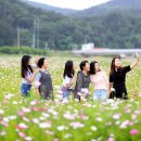 평해읍사무소 이미지