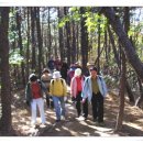 수락산만남의광장 이미지