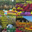 드림월드필하모닉 오케스트라 초청음악회 | 드림파크 국화축제 인천 가을꽃 나들이 기본정보 일정 포토존 셔틀버스 가는 법