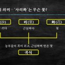 사리화