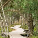 (주)에코브릿지 이미지