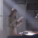 플리츠샤론
