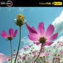 금수강산 이미지