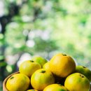 진영비전빌딩 이미지