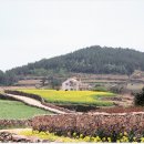청산다방