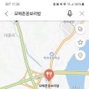 모메존꽁보리밥 네이버블로그