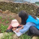 약산면-1 이미지