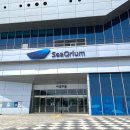 태평수산 맞은편 | 서천 국립해양생물자원관 씨큐리움 아이랑 가볼만한 곳 장항 스카이워크 송림 갯벌 체험까지 서천군...