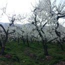 명기농장 이미지