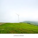 이목목장 이미지