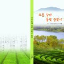 디자인 글꽃