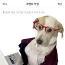 귀하신 분이 누추한 블로그에…