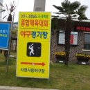 사등야구장 이미지