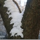 마음을 다스리는 글 - 411 이미지